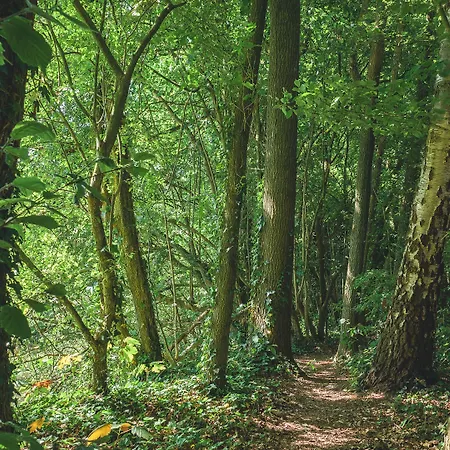 De Kastanjefabriek 호텔 아이버겐