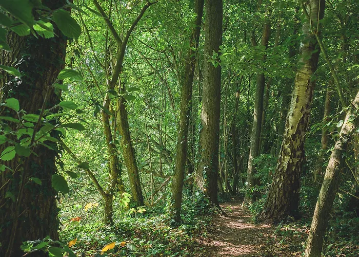 De Kastanjefabriek Hotel Eibergen